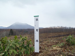 森林整備公社が低コスト実証林