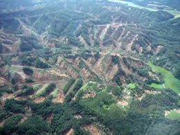 胆振東部地震、森林被害