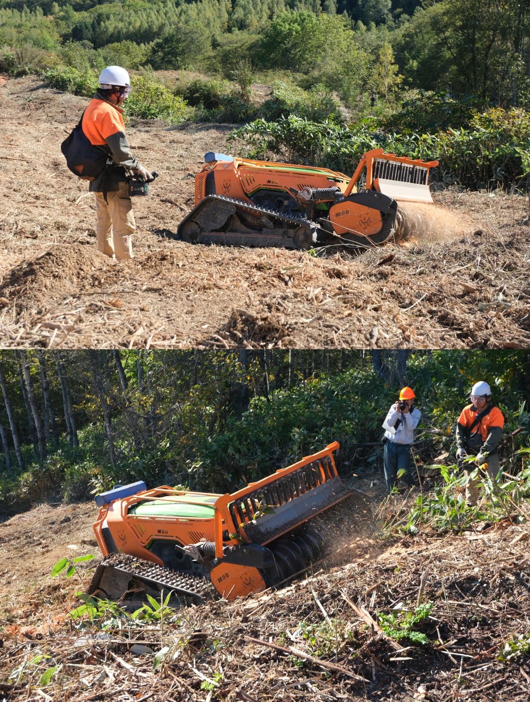 造林作業に関する研修会