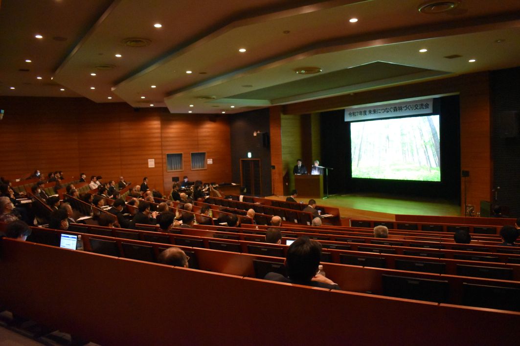 �����ɂȂ��X�тÂ���𗬉�